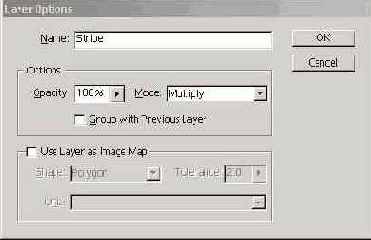   Layer Options  ImageReady